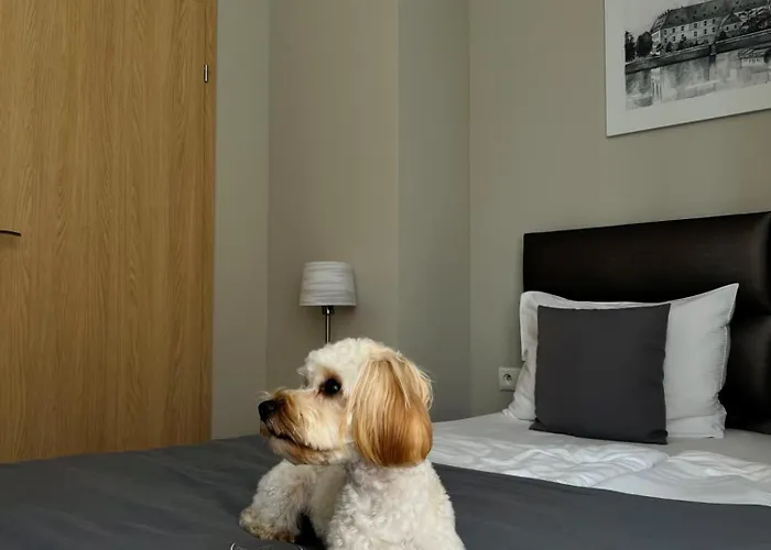 Joyinn Hotel apartamentowy